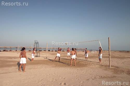 Tulip Resort 14